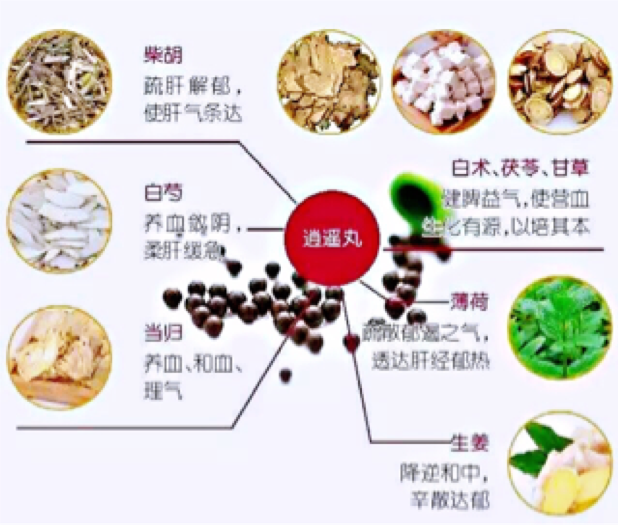 被人深深误会的网红成药「逍遥丸」