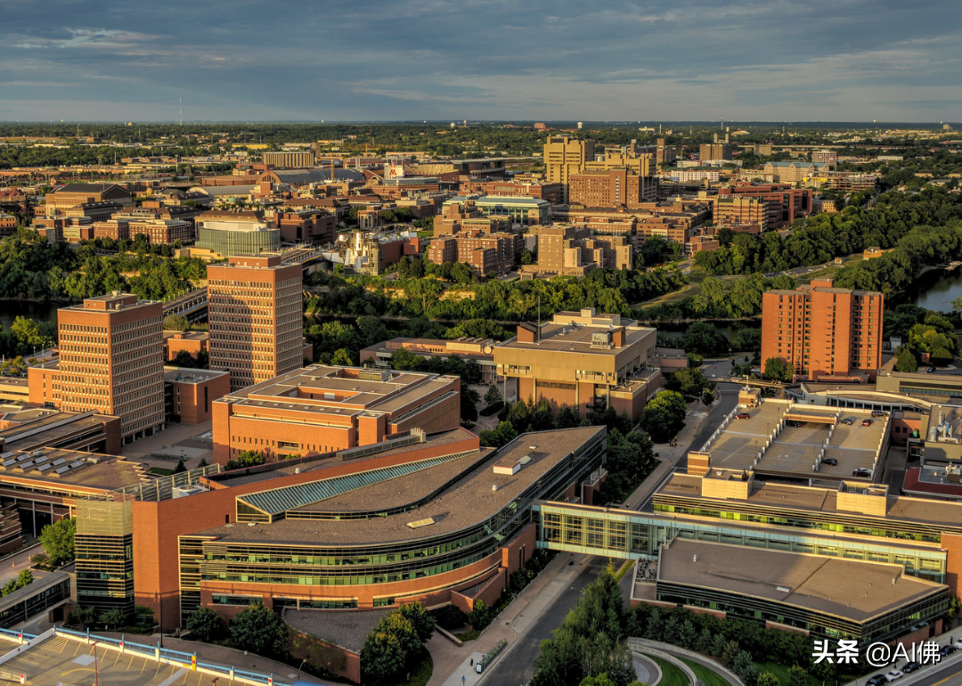 美国最自由的公立大学