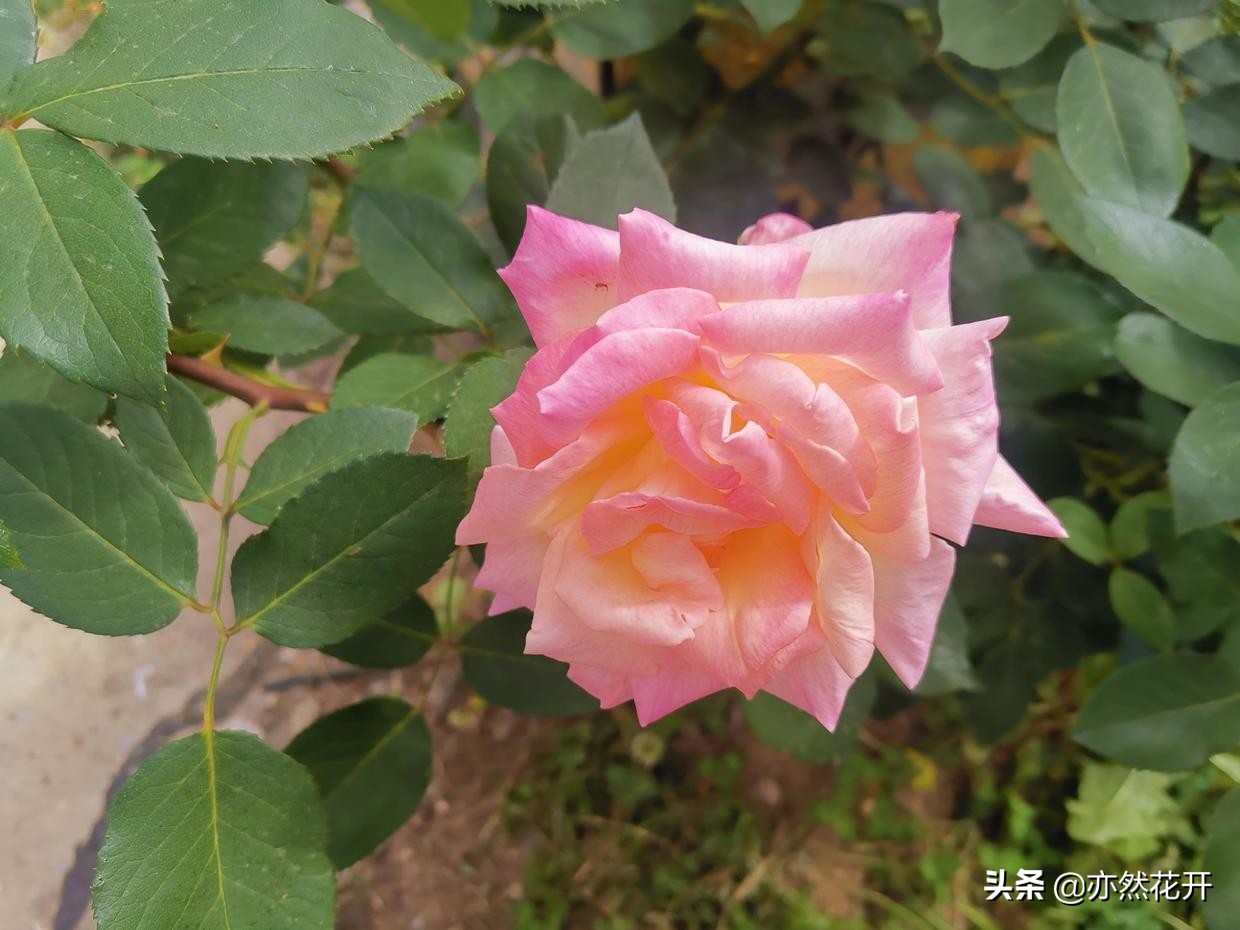 《风起云涌映英雄：正侧交融绘史诗》