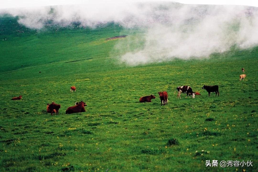 仰读忻州：那山，这山