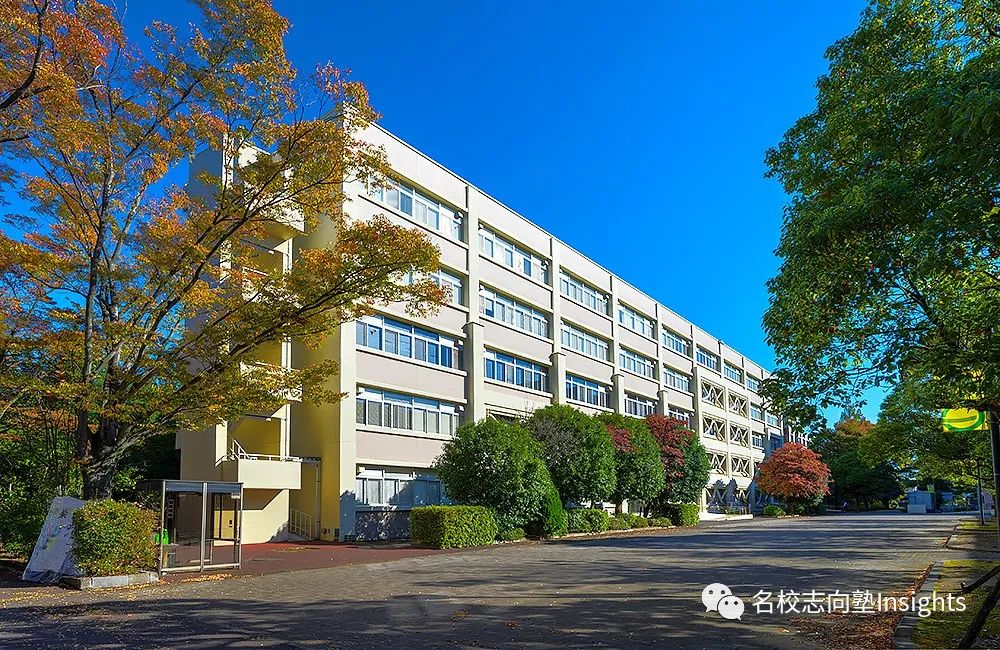 出愿TIPS丨埼玉大学学部综合报考指南