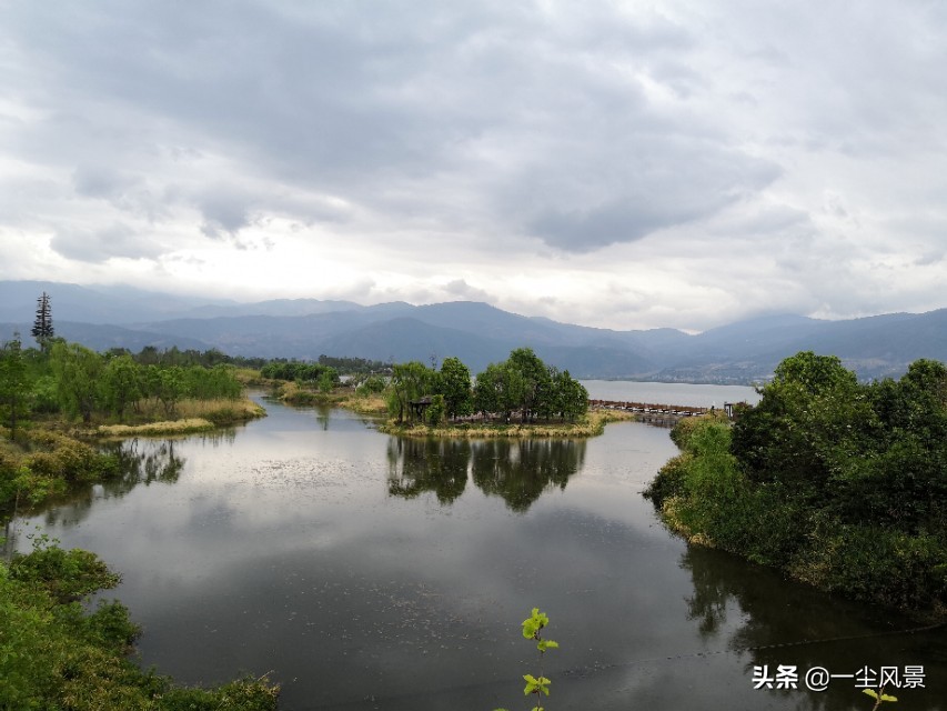 三行名句《琵琶行》，道尽人生真意境