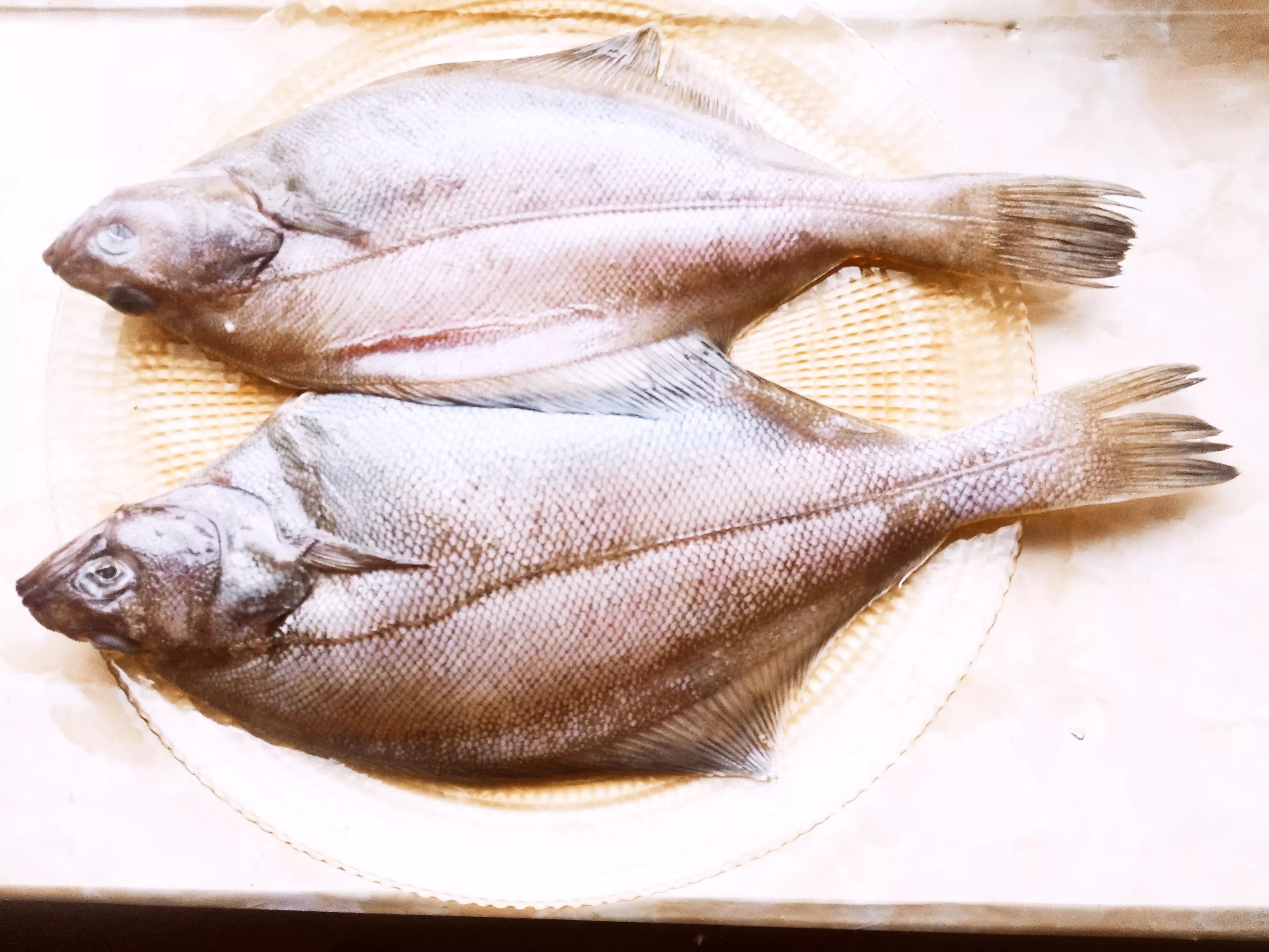 小雪前后，海鲜市场上常见的10种海鱼，鱼贩：现在正肥，要吃抓紧