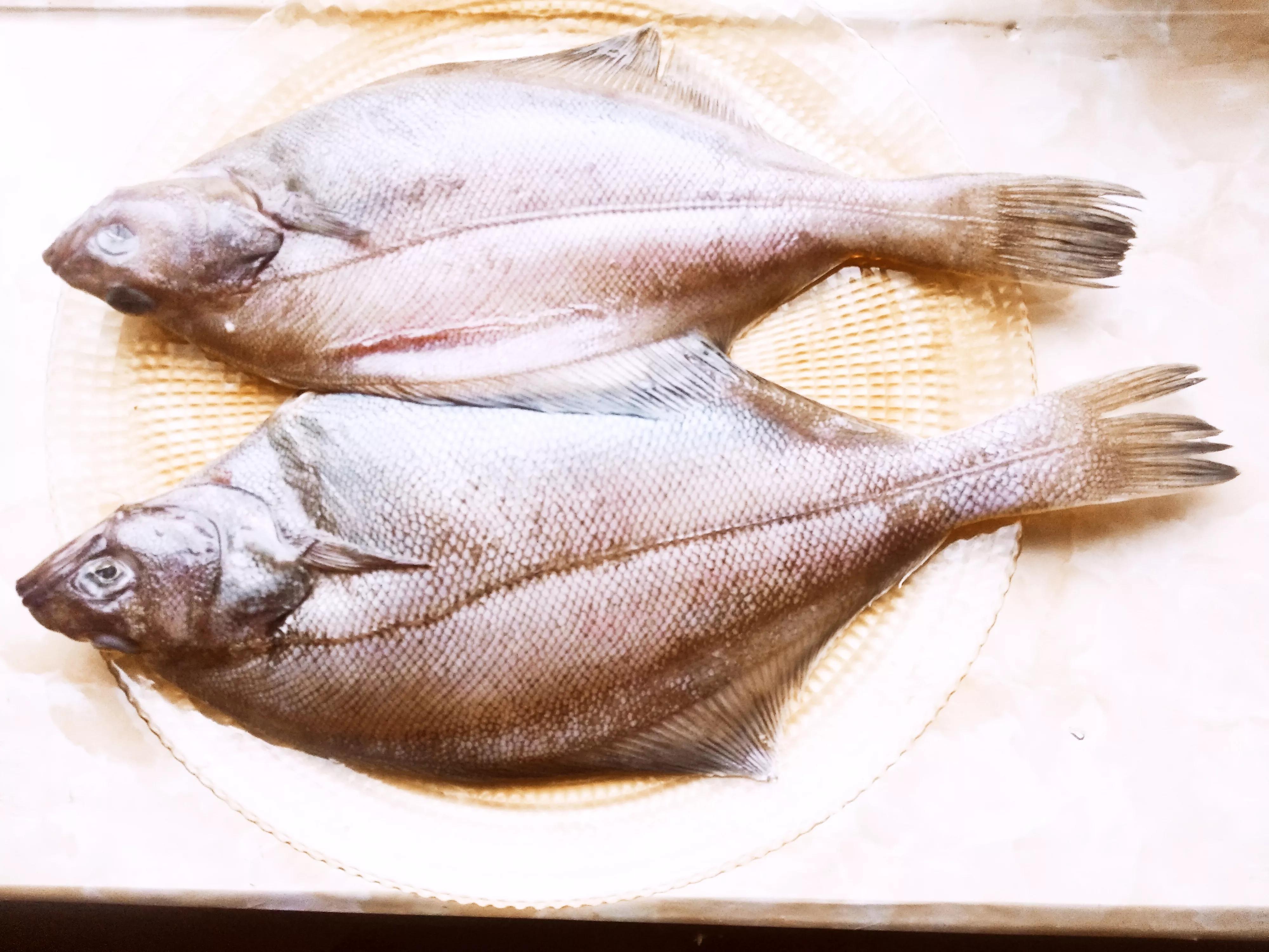 海魚的種類圖片,海魚種類名稱圖片大全