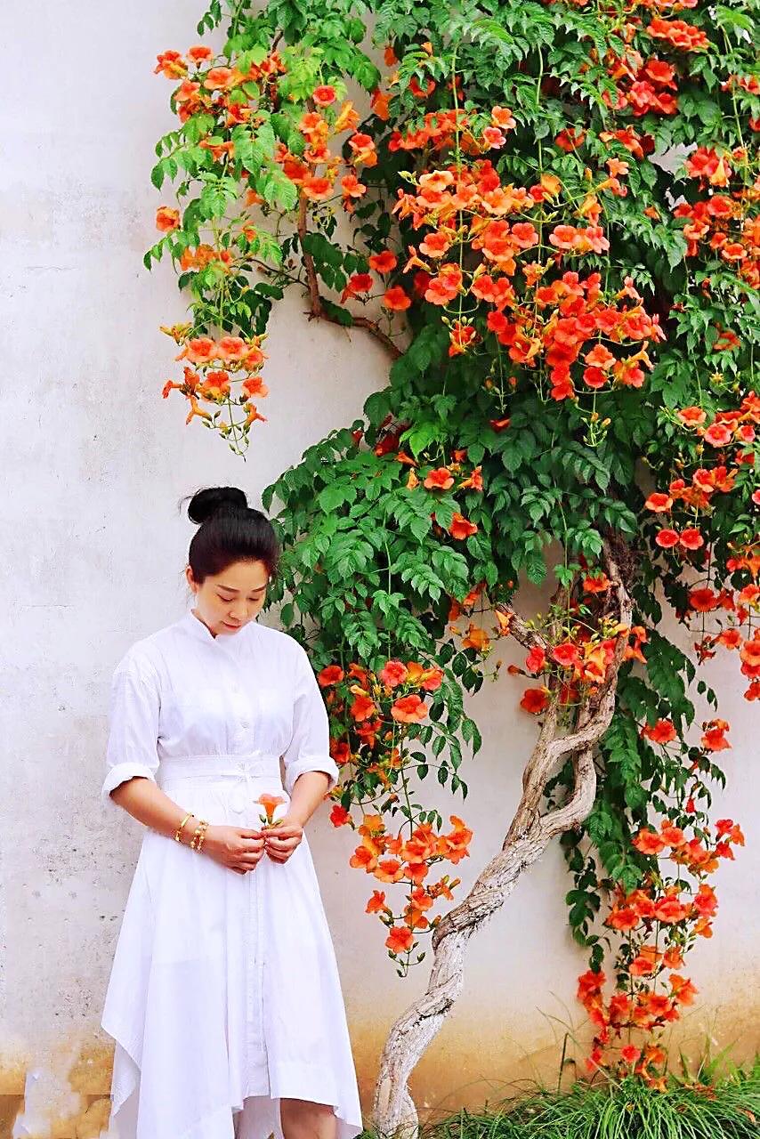 生如夏花，绚丽烂漫