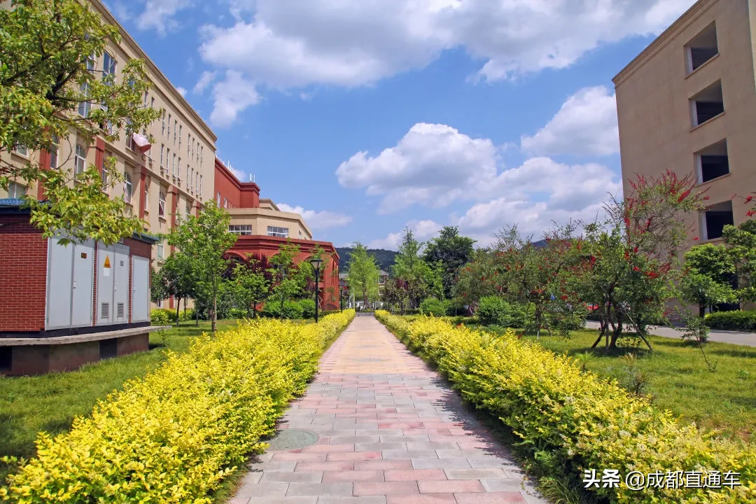 花开的季节·一起爱上文理