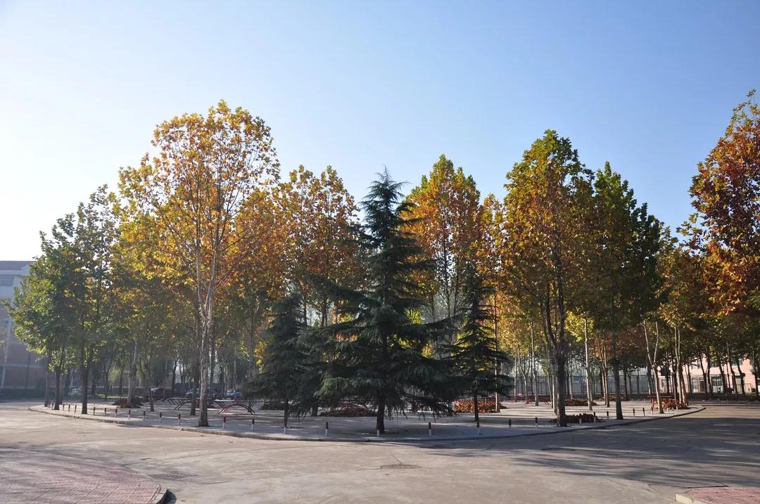 临朐县实验中学︱谭志芹：在最美的时光遇到最好的自己