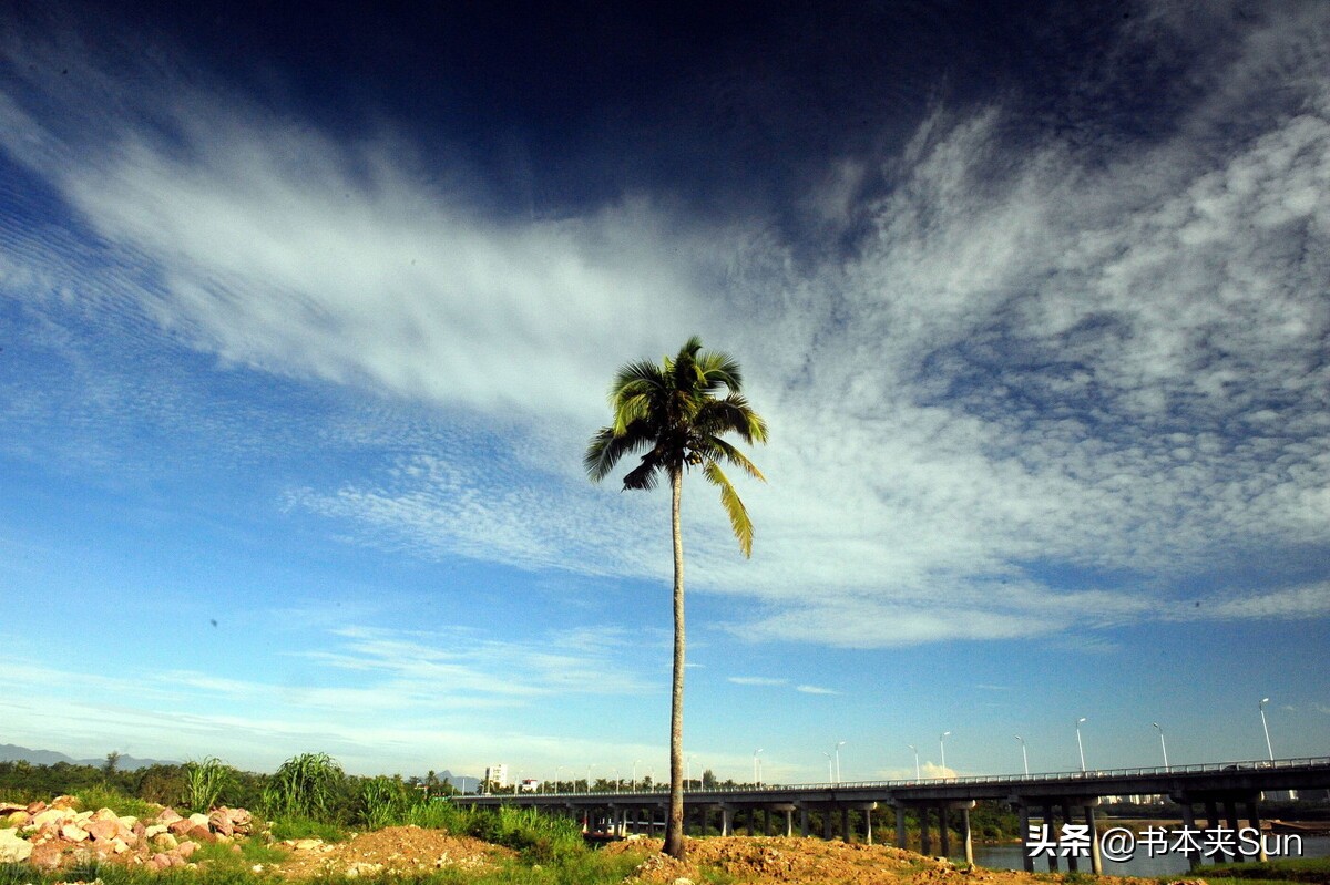 早晨起来拥抱太阳，发点正能量，不知道说点啥？进来看看