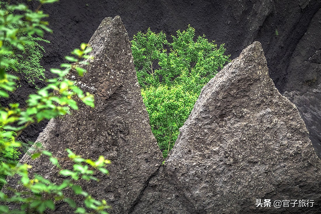 2020盛夏自驾游长白山，地球人都知道的避暑圣地，是中国爱情圣山