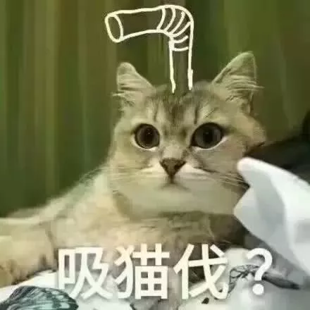 “奇怪的知识增加了！”什么梗？笑到抽搐