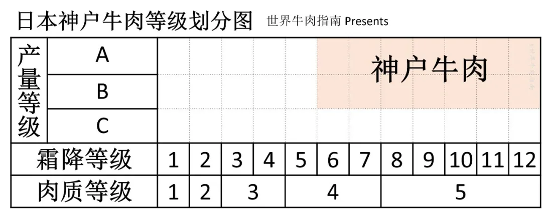 牛排十二个等级（各国地区牛排等级排行介绍）