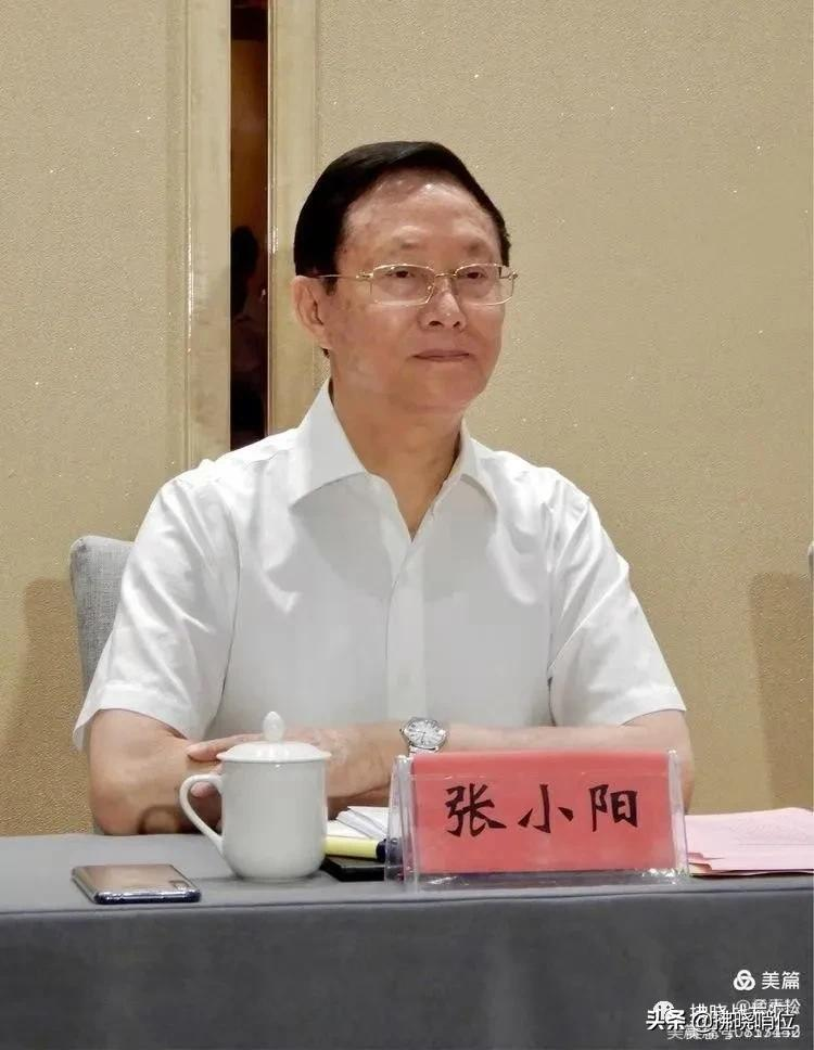 父亲张震母亲马龄松的抗战岁月