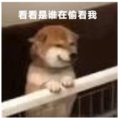 递延所得税系列3-「负债的计税基础」怎么学？