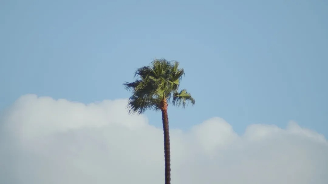 电脑壁纸最火手机壁纸两张一组卡通