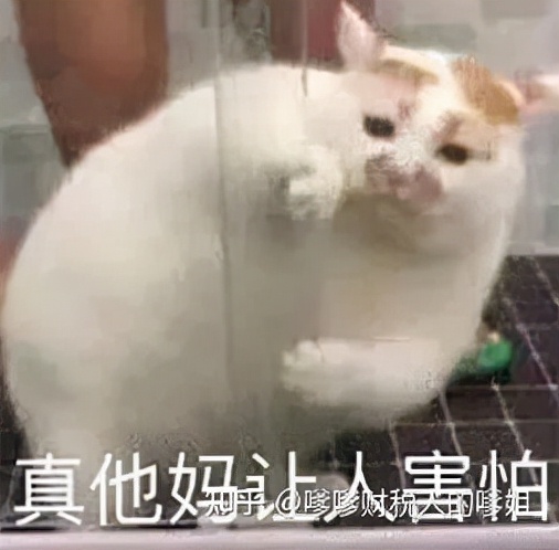 我有一个朋友因为逃税被警察带走，我想问一下逃税会判死刑吗