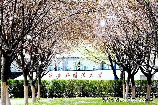 今天，带你用英语