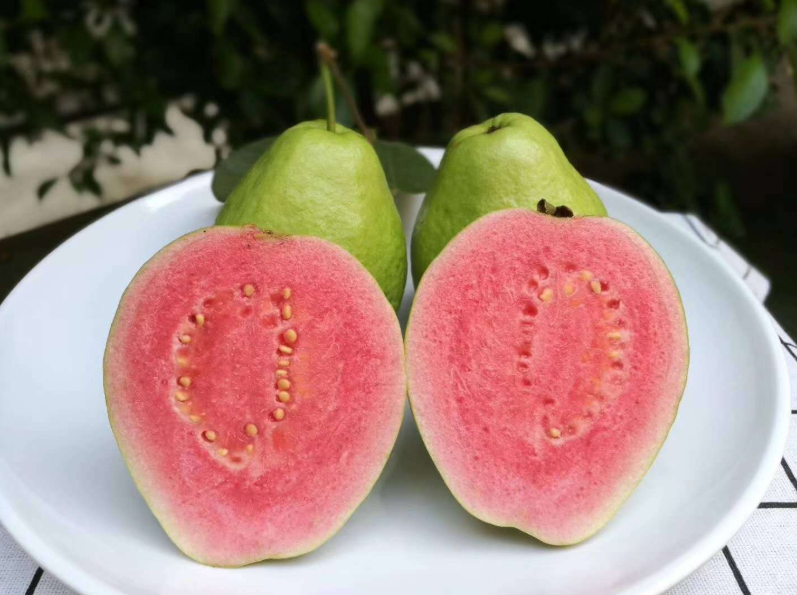 芭乐除了可以直接生食以外还可以煮熟做成果酱或者是果冻依旧酸辣酱等