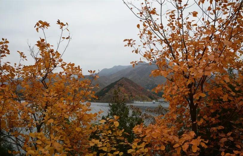 赏秋时节 </p><p>　　 打卡京郊这10条乡村公路，藏着北京最美的秋天