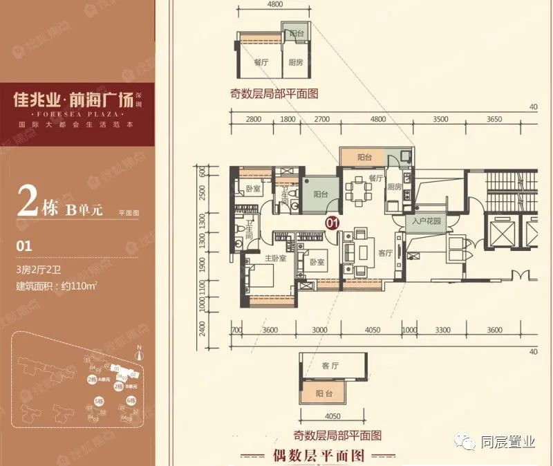 深圳大学优秀生源基地，深大附属教育集团(下)