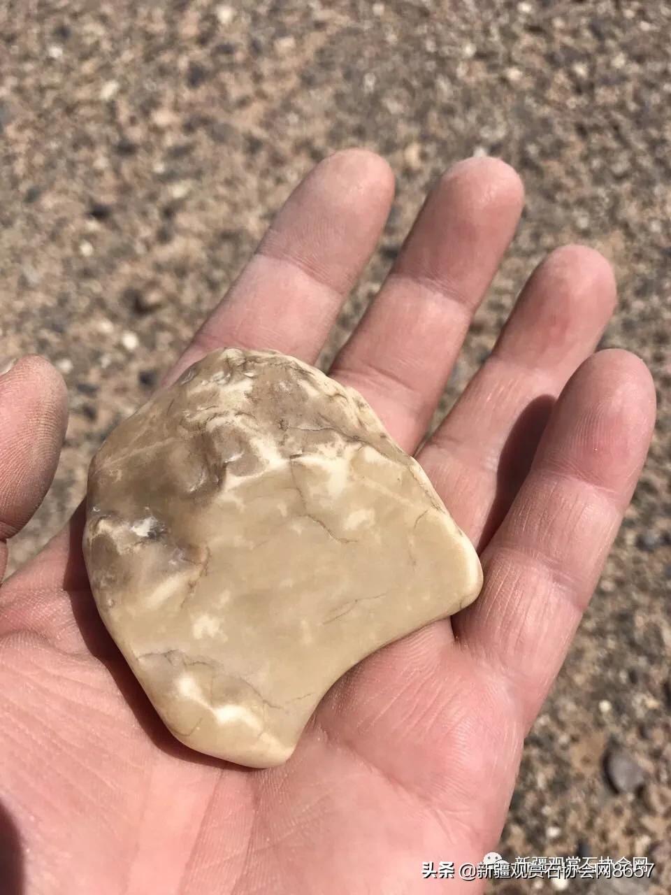 新疆戈壁精灵蛋白石