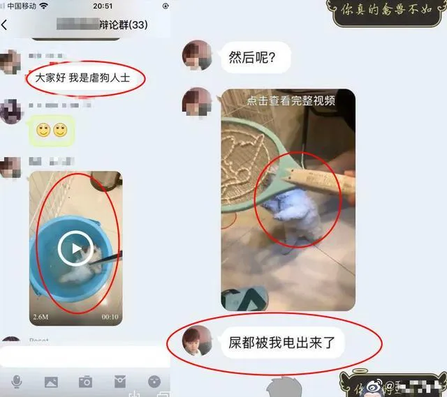 校园内竟现虐猫！（看到新闻时我忍不住皱眉，心中五味杂陈）