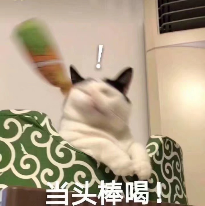 表情包：小猫咪程序混乱