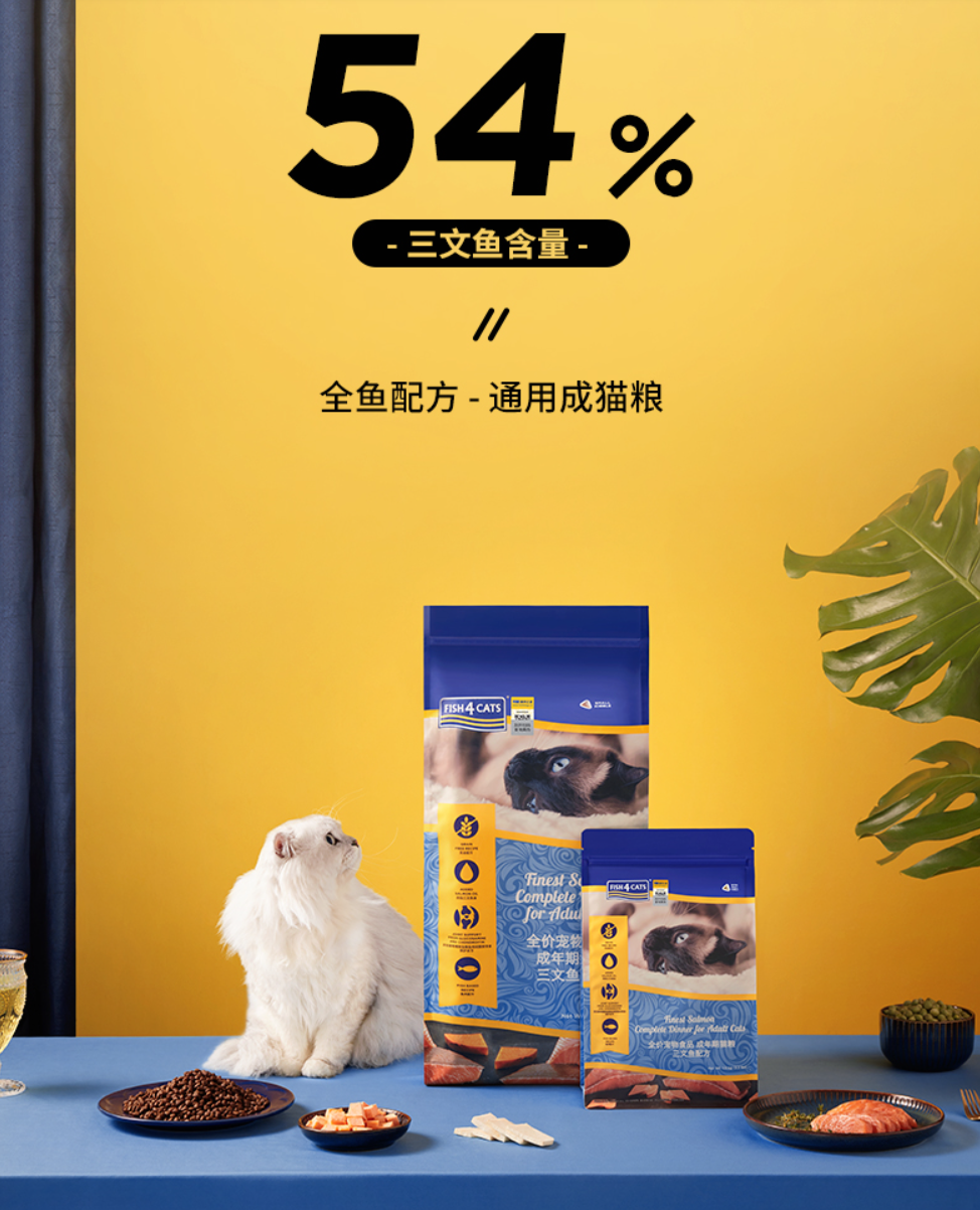 十大国产猫粮推荐，低调做事的国产品牌，应该被更多人知晓