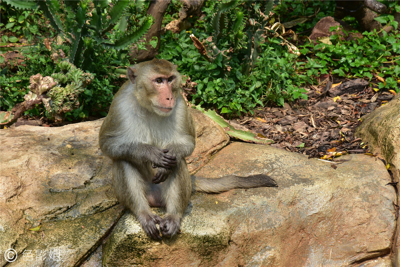 三天三夜欢乐长隆之旅（附攻略）