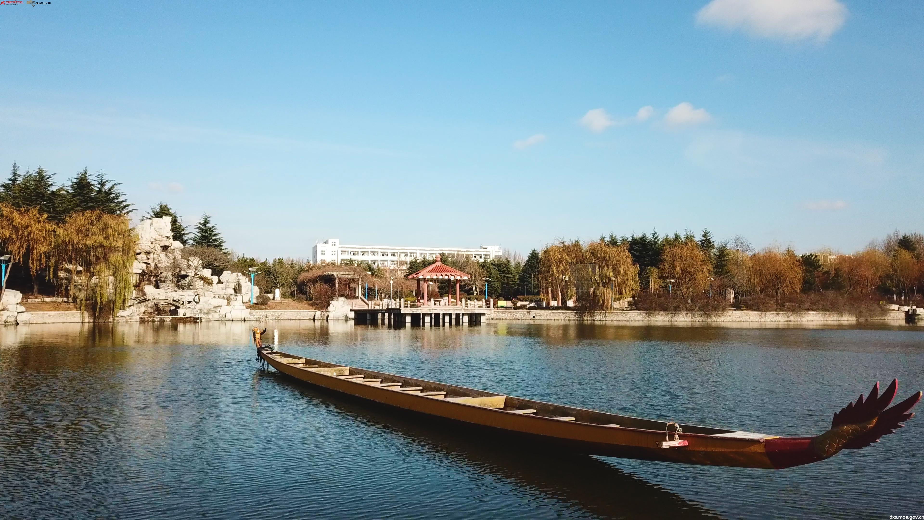建设两所新大学，入围特大型城市，青岛高等教育还缺一样东西