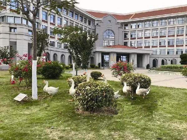 高校各种“神兽”出没，你的大学有什么？