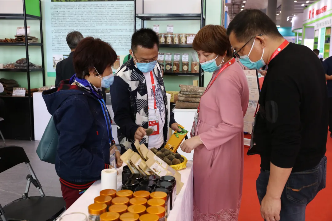 关注｜推动广西中医药振兴发展！第九届中药材基地共建共享交流大会在南宁开幕
