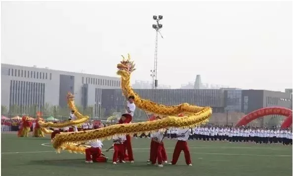 专业解读|体育教育、运动康复、运动训练、武术与民族传统体育