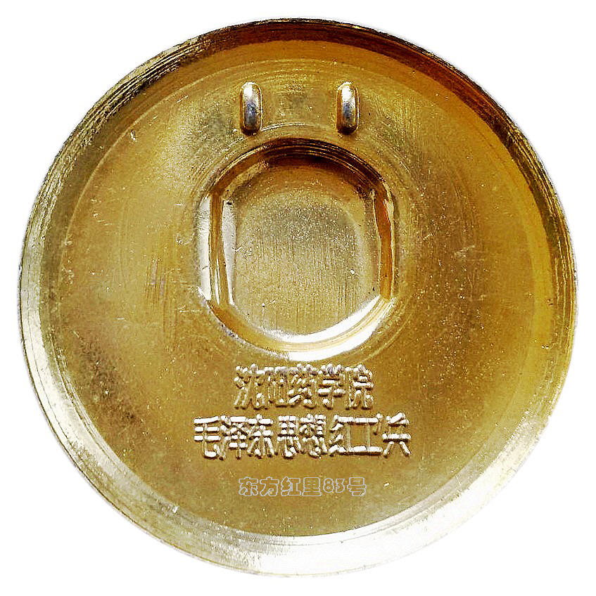 像章铭记｜沈阳药学院出品的对章-章面主体相同，只是上色有区别