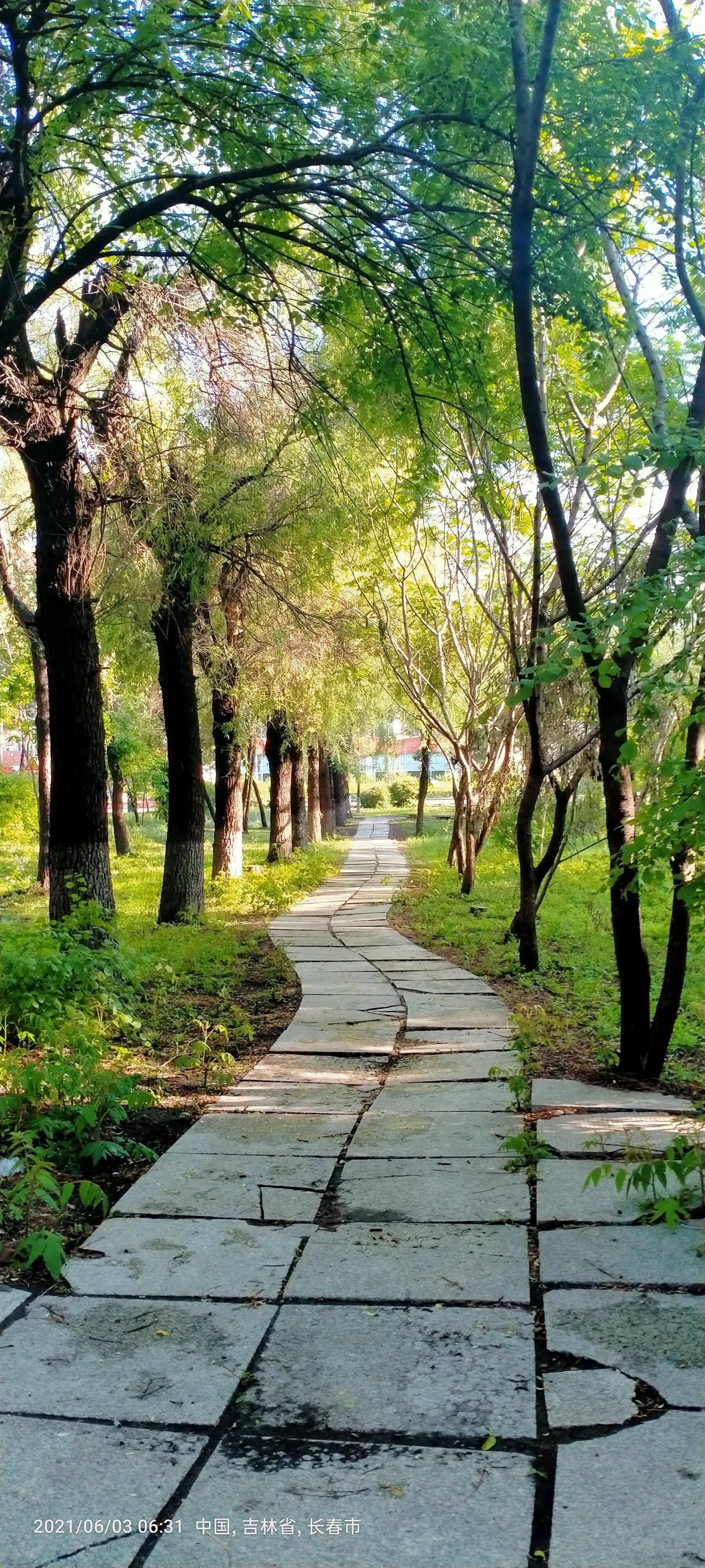 长春师范大学——竟然这么美