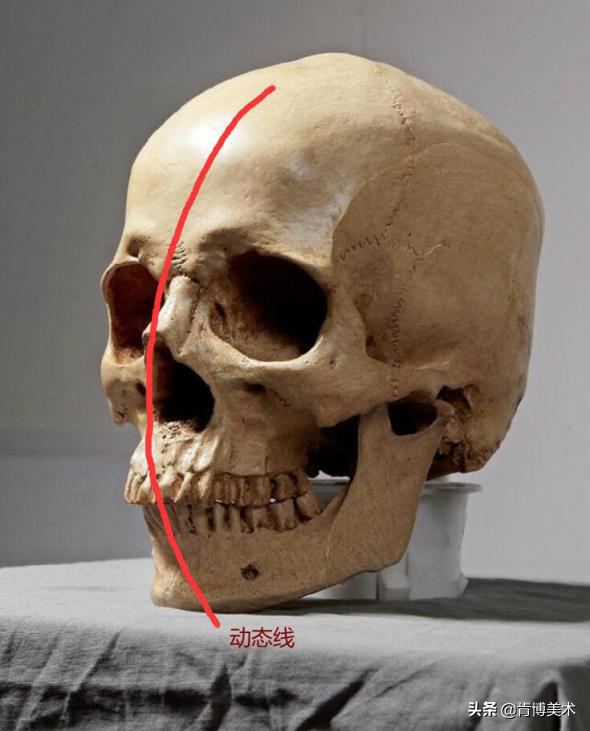 画人像大杀招，想学画画的你不容错过