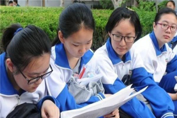 结果太凄凉，“14万天价补习班”，亲手打造出高考仅254分的学生