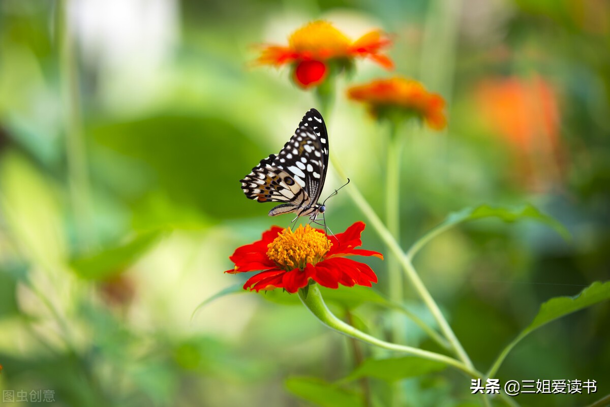 明确的拒绝，可能会得罪人一时，但是含糊其辞只会让你更痛苦