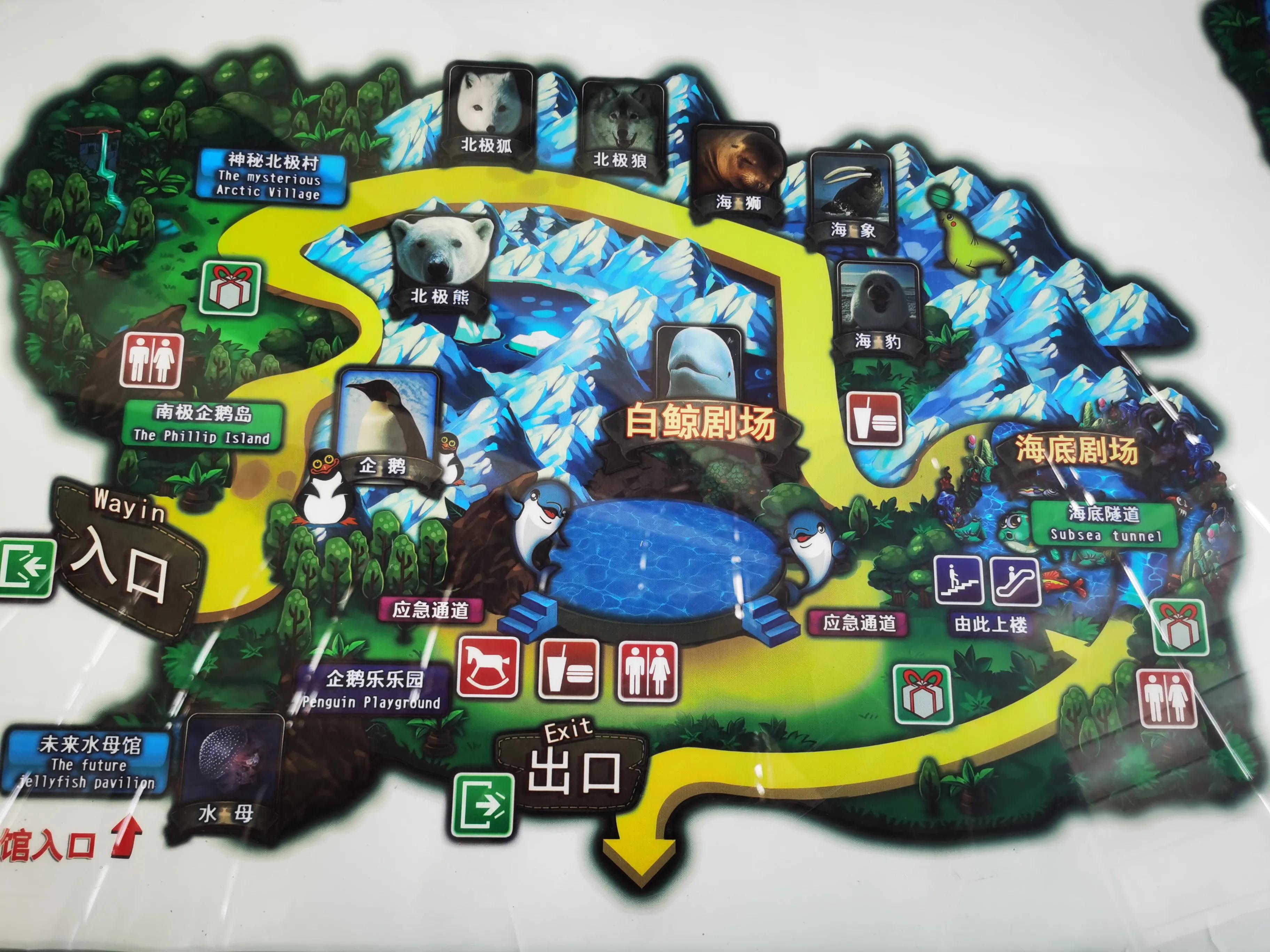 不说了,现在就跟着我先从南极企鹅岛开始,走起