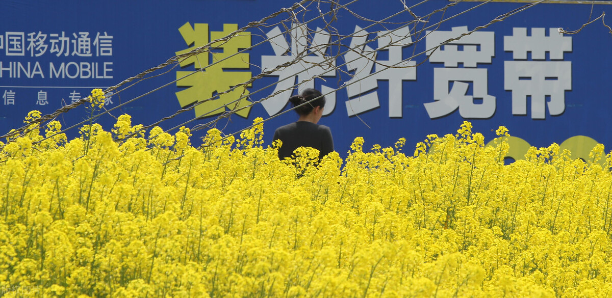 电脑网速慢怎么办？大明教你快速解决网络卡顿问题