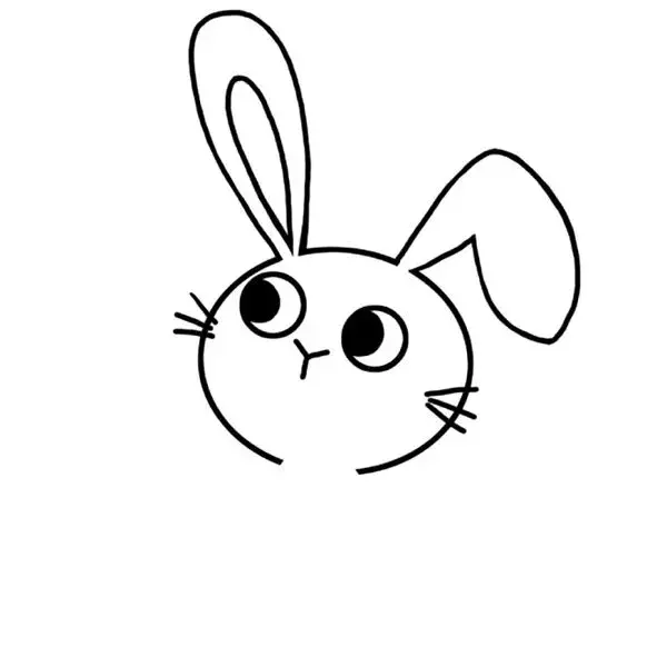 简笔画—流氓兔兔