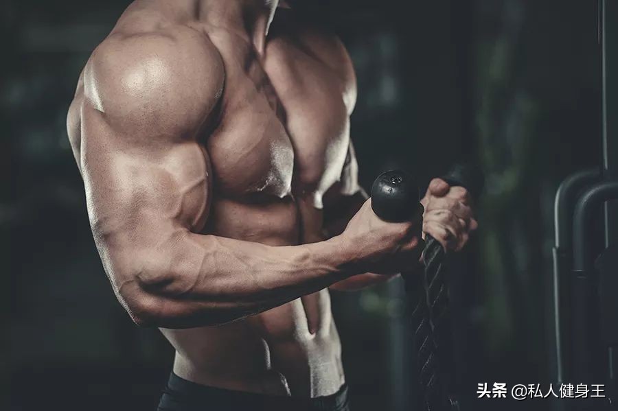 肩部训练，5个动作，打造强壮三角肌，让肩膀泵感十足