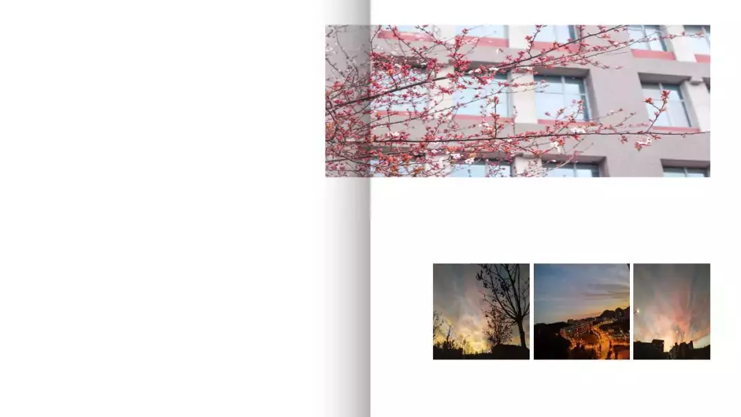 超美的！贵大专属PPT模板来了，陪你走过春夏秋冬！