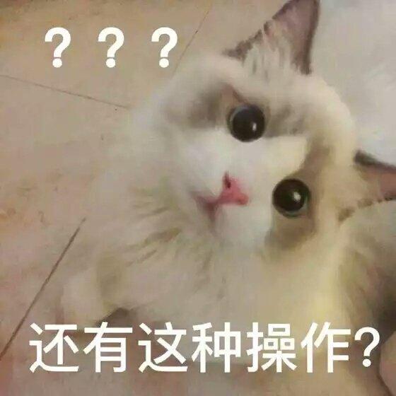 甜甜的猫咪表情包要亲亲