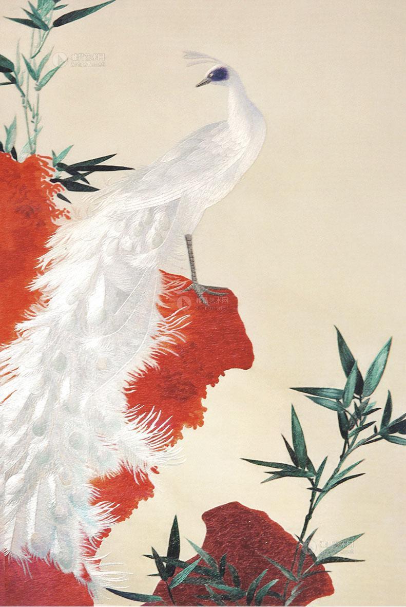 孔雀东南飞！高贵、冷艳的白孔雀