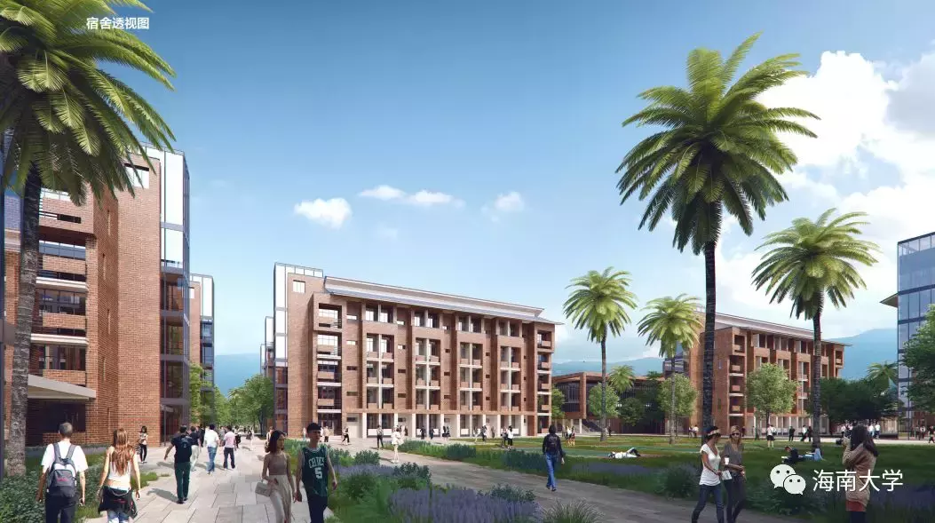 好消息！海南大学要建观澜湖校区啦，非常国际化，究竟长啥样？