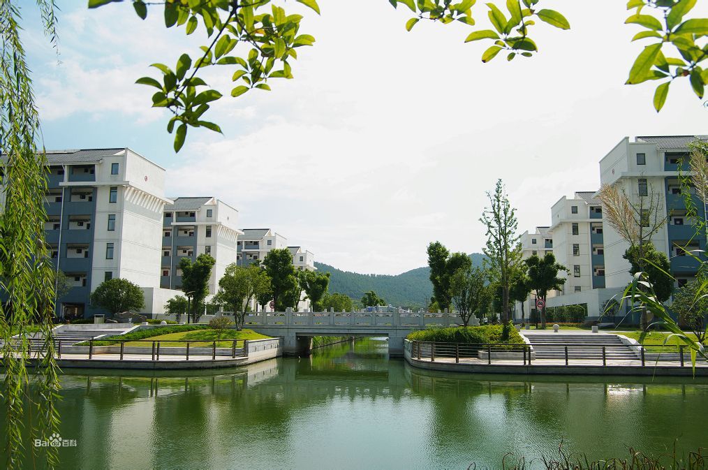 一张16省美术类录取成绩表，泄露了一所大学的办学综合实力