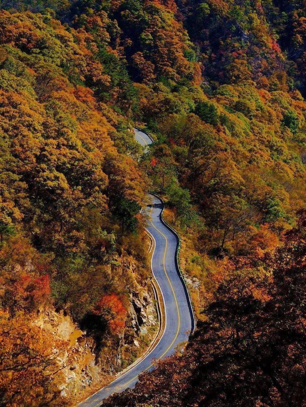 宝藏分享｜资深旅行家推荐，中国10条极小众公路