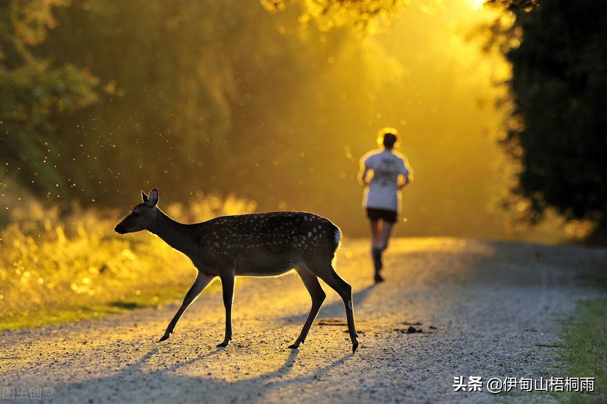 極簡生活談談金錢與消費