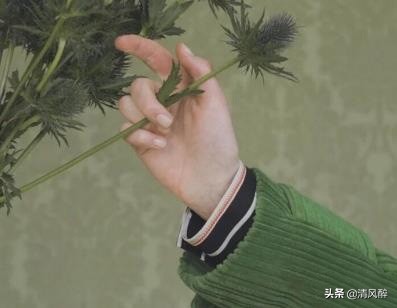 赞美春暖花开的优美句子 春天发朋友圈的精美句子图片