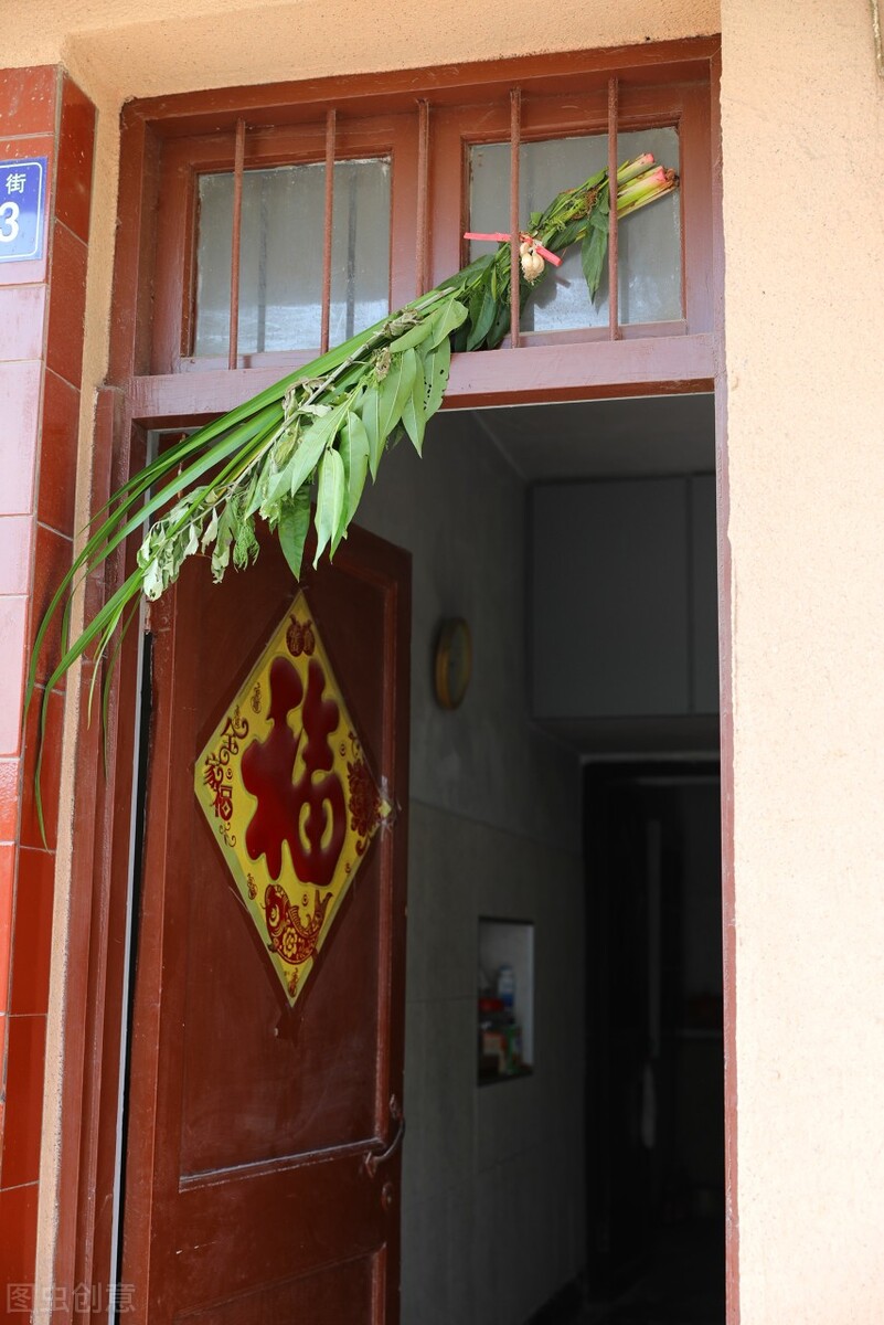 艾叶草图片(插早不插晚) - 赤虎壹号